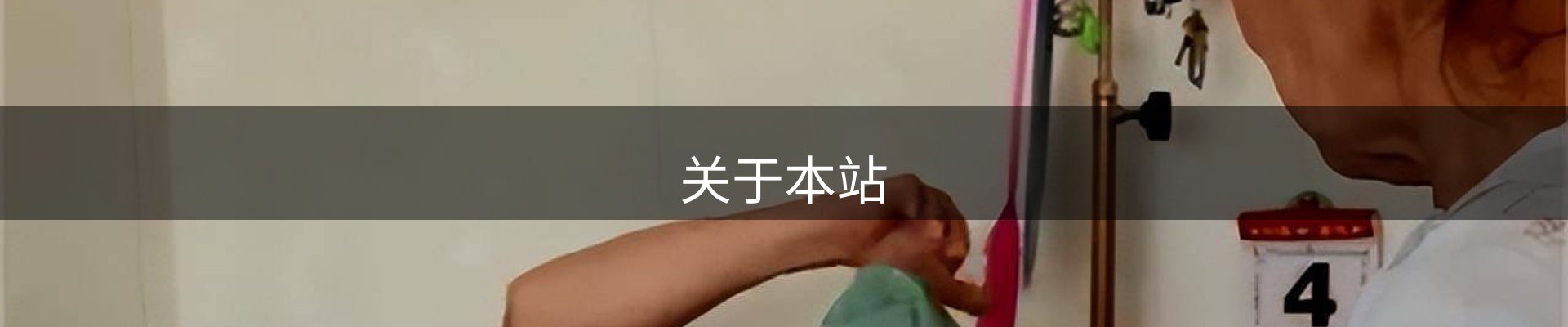 关于本站