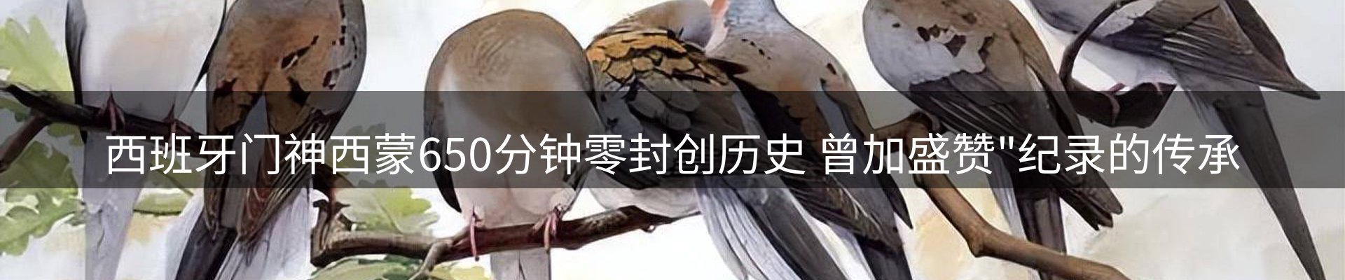 品牌资讯