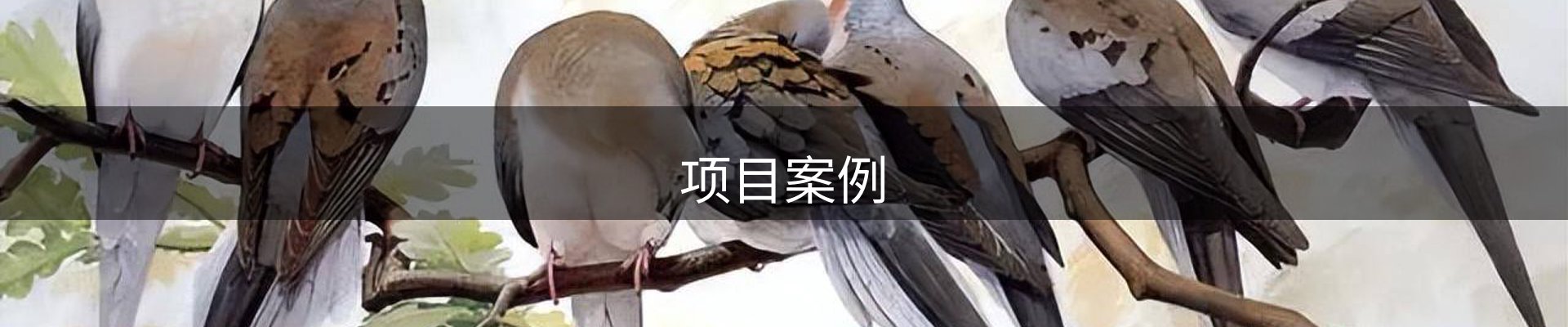 项目案例